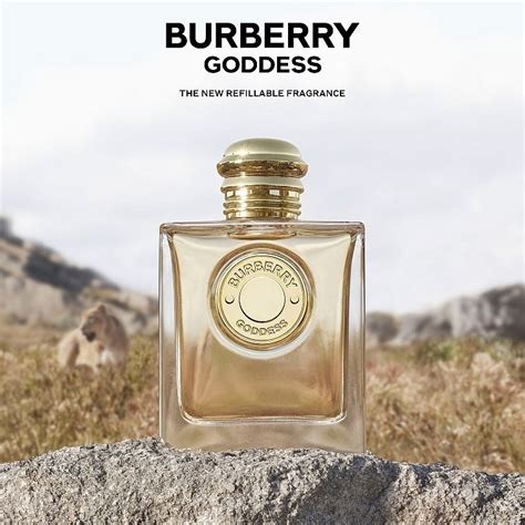 fragranze burberry|fragrantica burberry goddess.